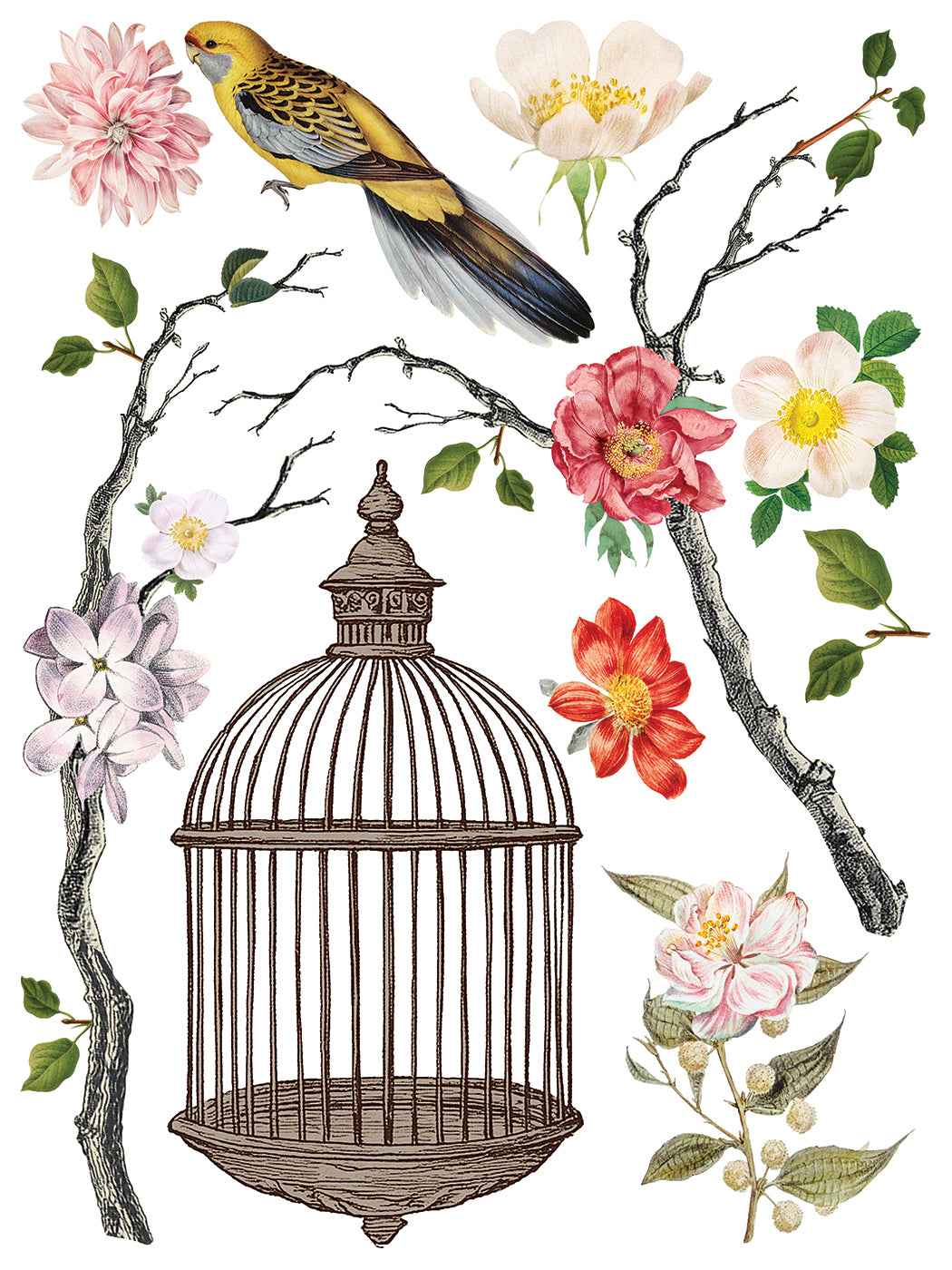 Menagerie IOD Transfer - Iron Orchid Designs