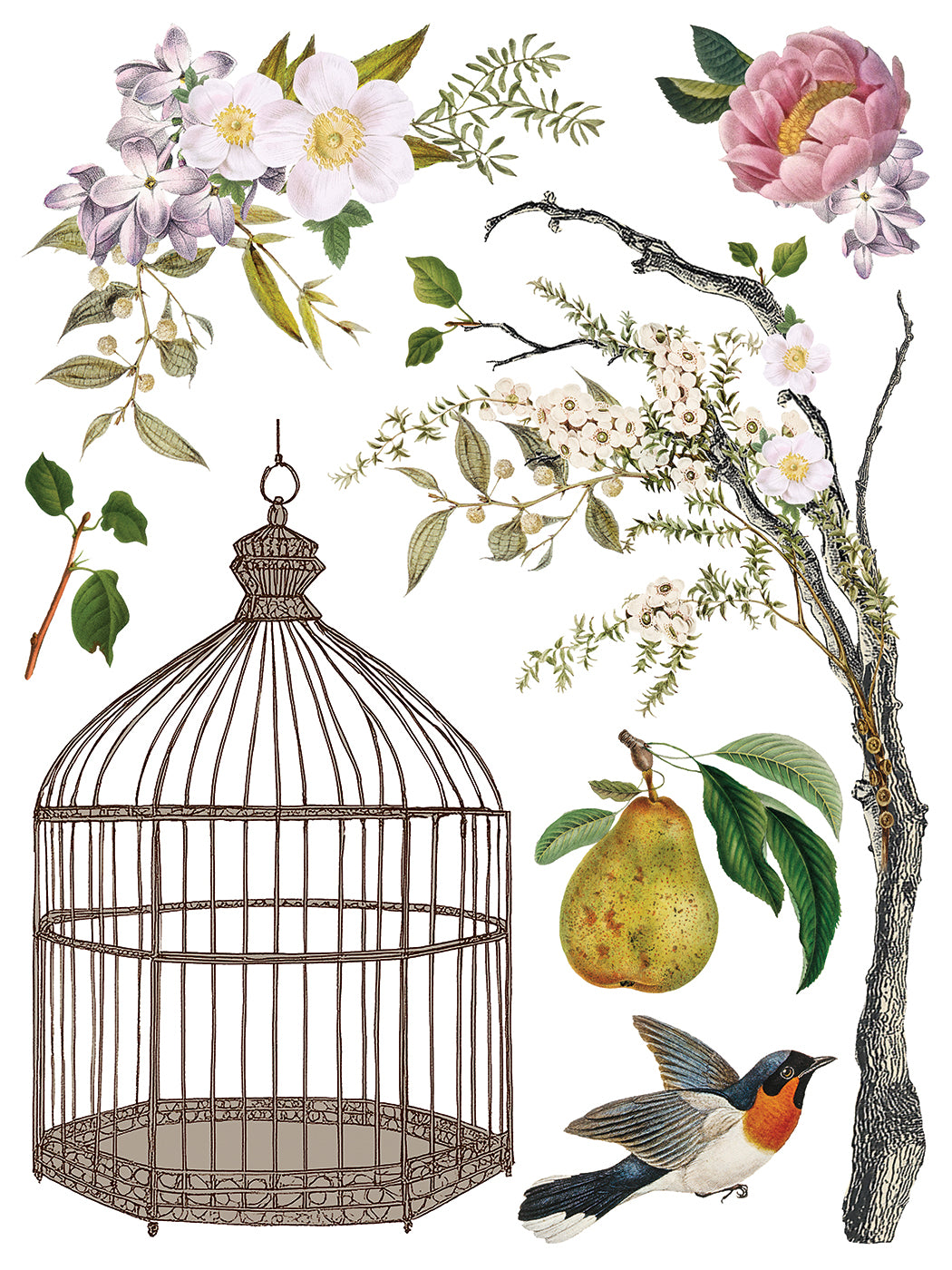 Menagerie IOD Transfer - Iron Orchid Designs