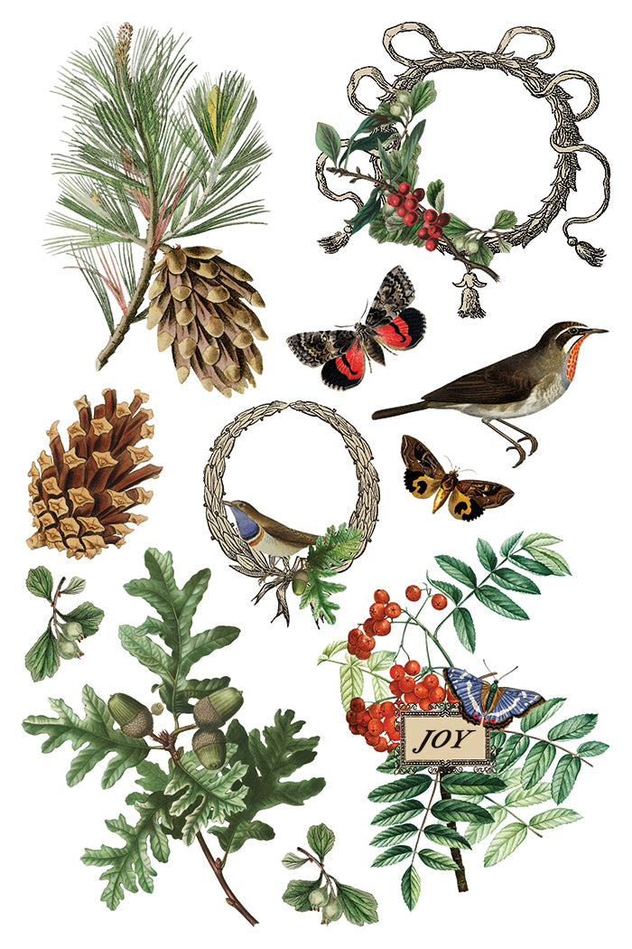 Winter Botanist IOD Transfer - Iron Orchid Designs