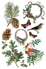 Load image into Gallery viewer, Winter Botanist IOD Transfer - Iron Orchid Designs