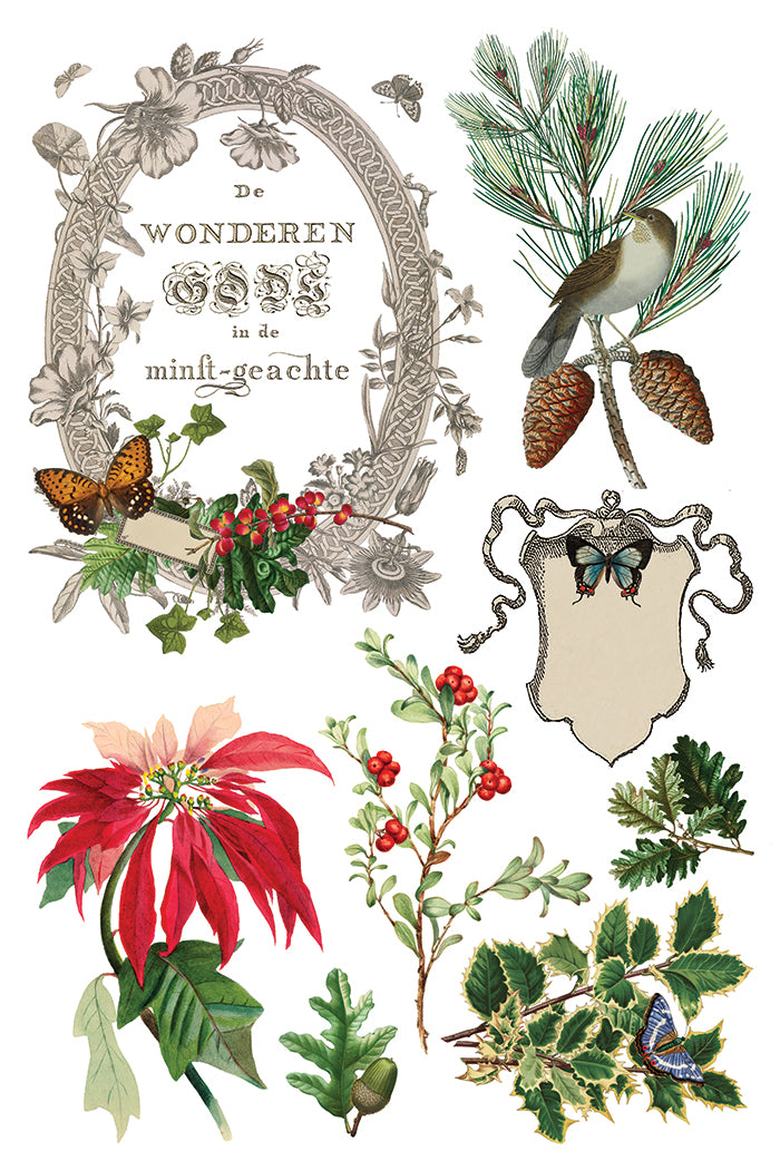 Winter Botanist IOD Transfer - Iron Orchid Designs
