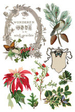 Load image into Gallery viewer, Winter Botanist IOD Transfer - Iron Orchid Designs