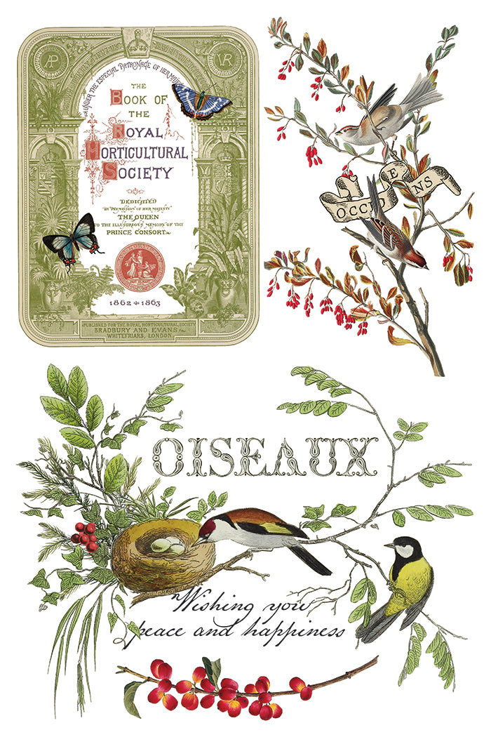 Winter Botanist IOD Transfer - Iron Orchid Designs