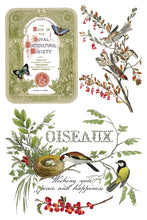 Load image into Gallery viewer, Winter Botanist IOD Transfer - Iron Orchid Designs