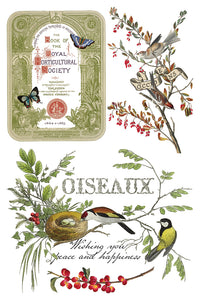 Winter Botanist IOD Transfer - Iron Orchid Designs
