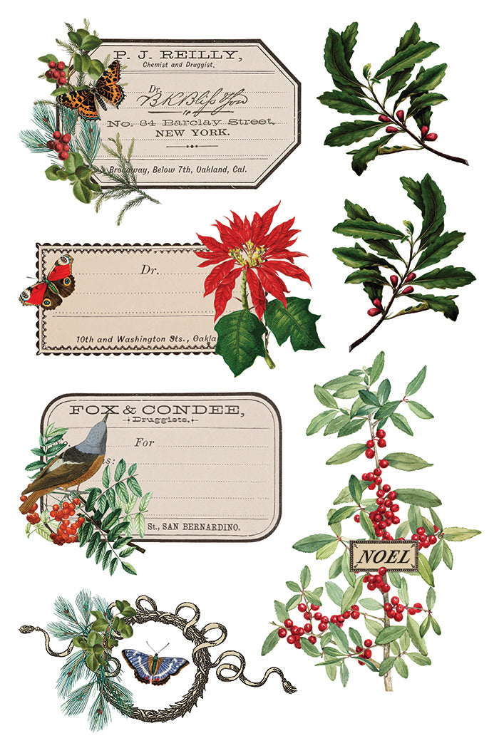 Winter Botanist IOD Transfer - Iron Orchid Designs
