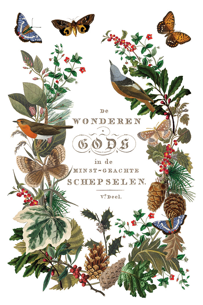 Winter Botanist IOD Transfer - Iron Orchid Designs