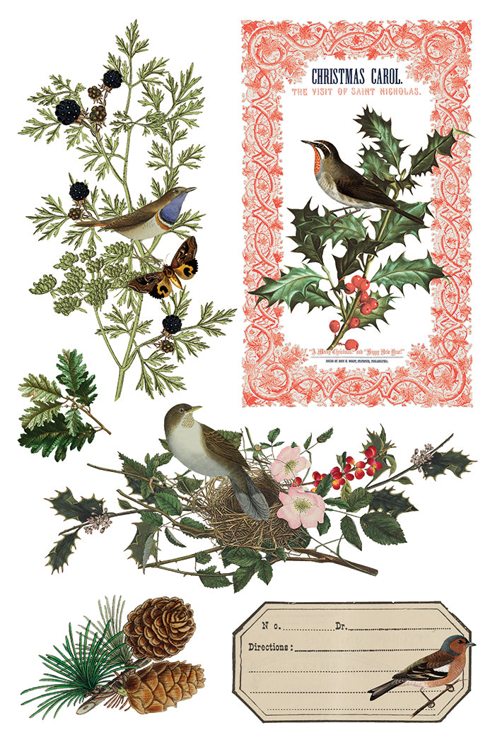 Winter Botanist IOD Transfer - Iron Orchid Designs