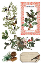 Load image into Gallery viewer, Winter Botanist IOD Transfer - Iron Orchid Designs