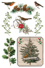 Load image into Gallery viewer, Winter Botanist IOD Transfer - Iron Orchid Designs