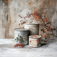 Load image into Gallery viewer, Winter Botanist IOD Transfer - Iron Orchid Designs