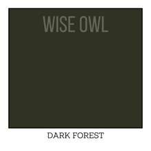 Load image into Gallery viewer, Dark Forest Green Furniture Paint - Dark Forest - Wise Owl One Hour Enamel