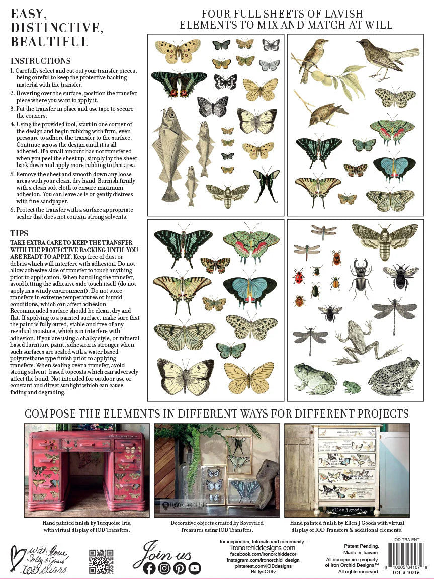 Entomology Etcetera IOD Transfer - Iron Orchid Designs
