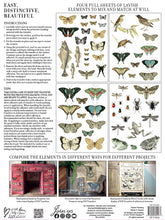 Load image into Gallery viewer, Entomology Etcetera IOD Transfer - Iron Orchid Designs
