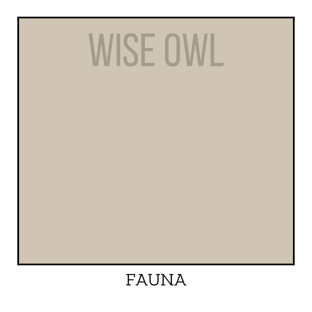 Fauna Wise Owl One Hour Enamel Paint