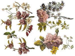 Floral Anthology IOD Transfer - Iron Orchid Designs 