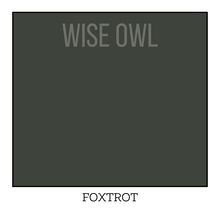 Load image into Gallery viewer, Forest Green Furniture Paint - Foxtrot - Wise Owl One Hour Enamel