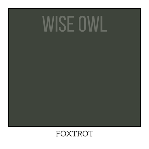 Forest Green Furniture Paint - Foxtrot - Wise Owl One Hour Enamel