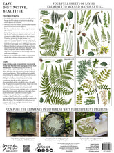 Load image into Gallery viewer, Fronds Botanical IOD Transfer - Iron Orchid Designs