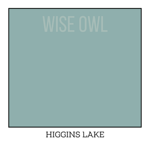Turquoise Furniture Paint - Higgins Lake - Wise Owl One Hour Enamel Paint