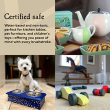 Load image into Gallery viewer, Pale Primrose - Jubilee Paint | Furniture &amp; Craft Paint