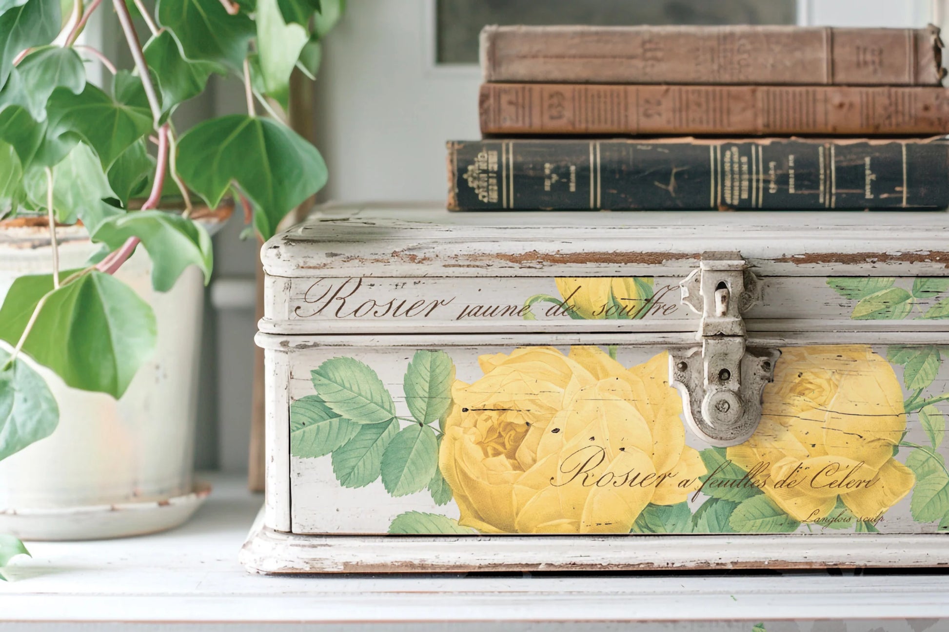 Rose Botanical IOD Transfer - Iron Orchid Designs