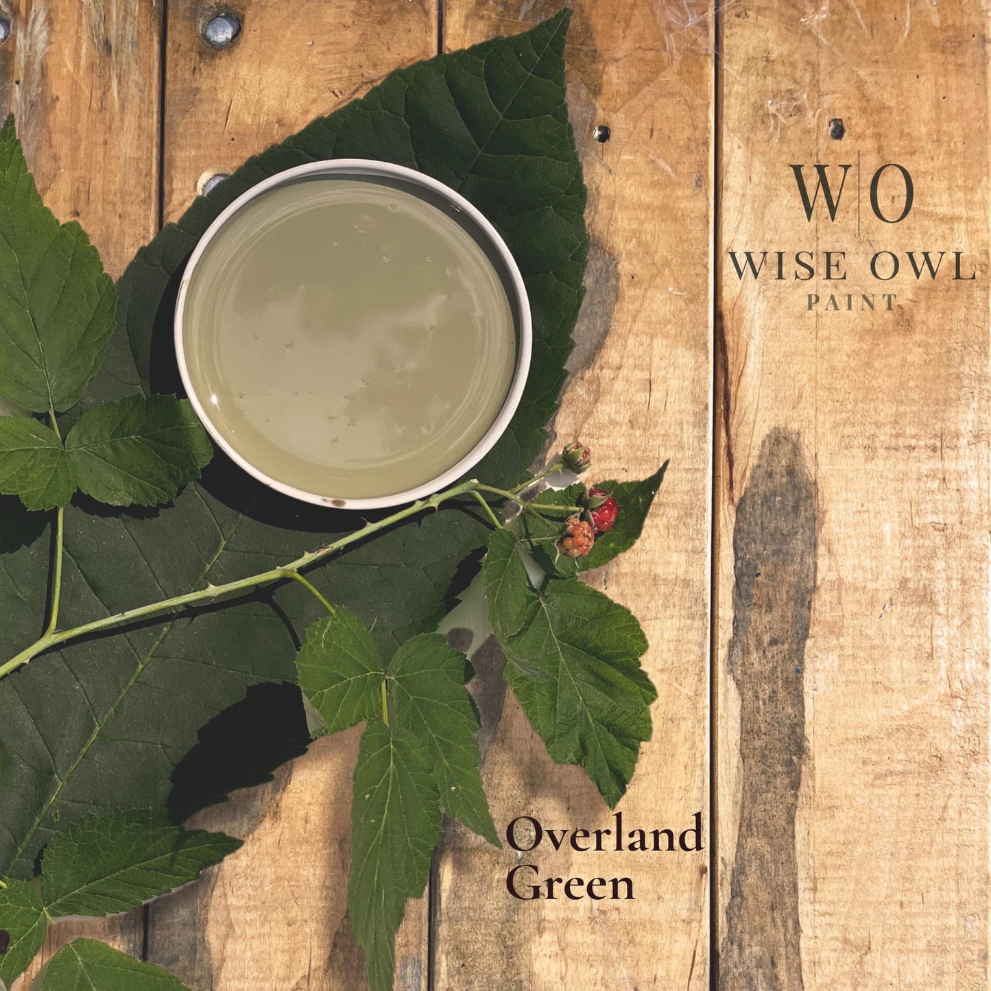 Wise Owl One Hour Enamel Paint - OVERLAND GREEN | Moss Green Kitchen Cabinet and Furniture Paint
