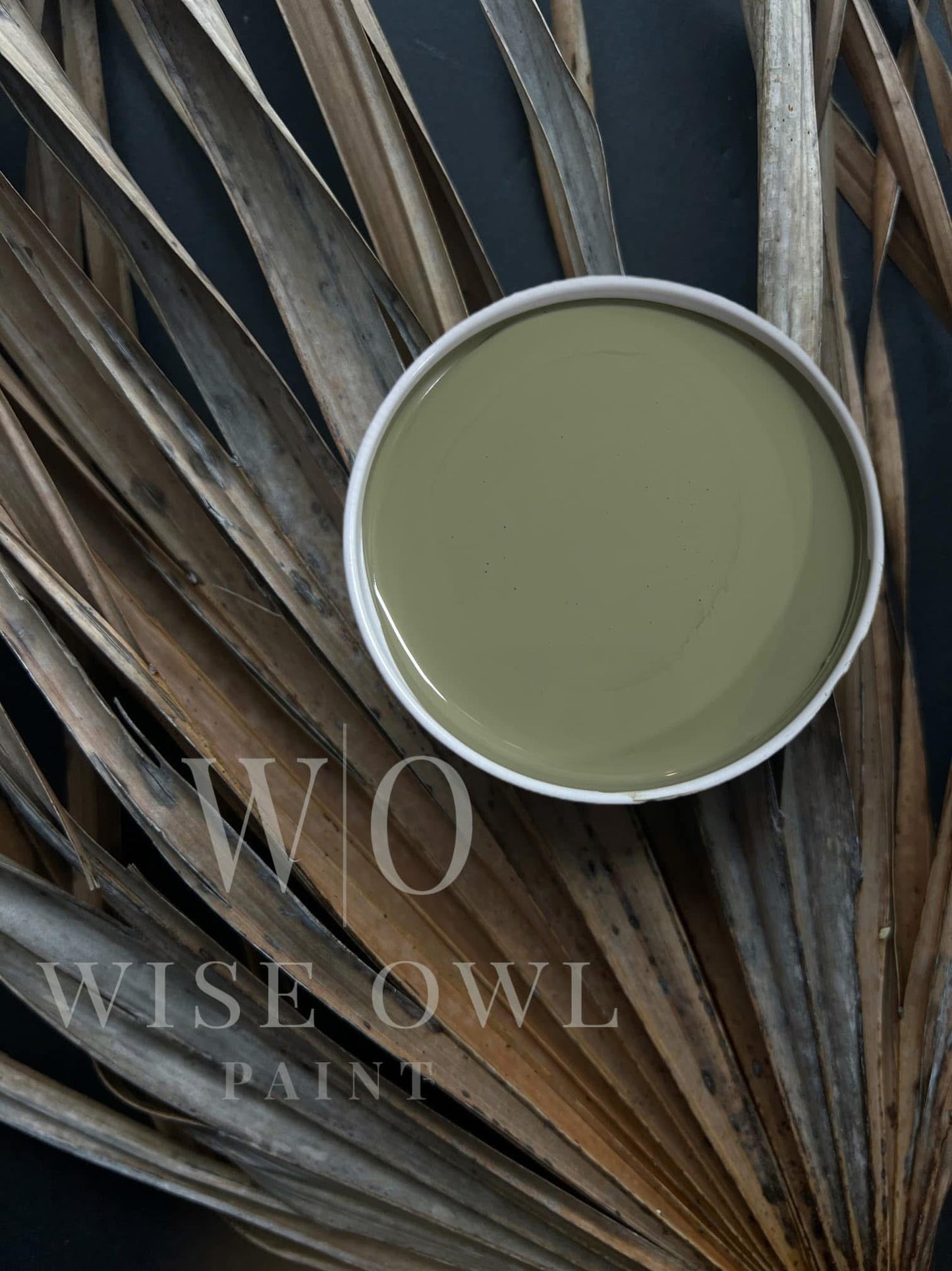 Wise Owl One Hour Enamel Paint - OVERLAND GREEN | Moss Green Kitchen Cabinet and Furniture Paint
