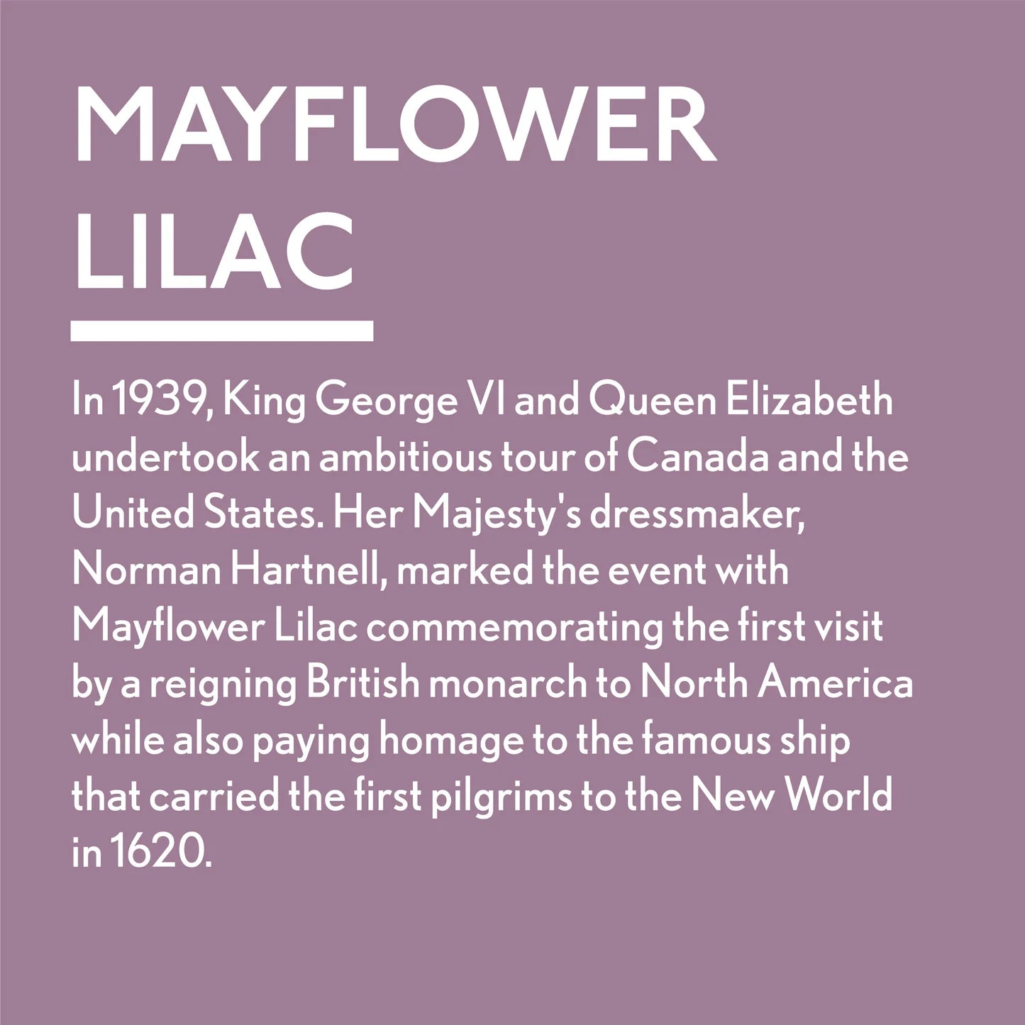 Mayflower Lilac - Jubilee Paint | Furniture & Craft Paint