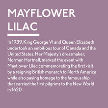 Load image into Gallery viewer, Mayflower Lilac - Jubilee Paint | Furniture &amp; Craft Paint