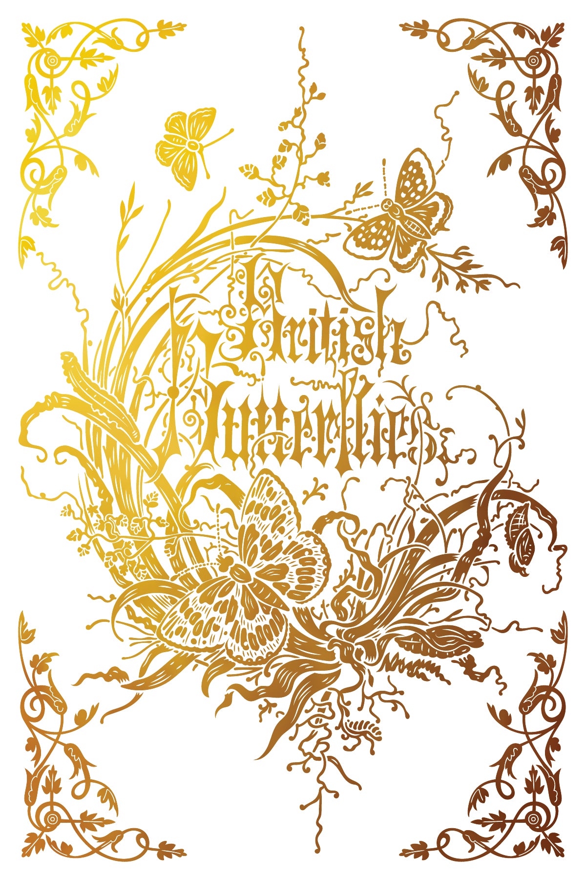 Athenaeum IOD Gilded Foil Transfer - Iron Orchid Designs