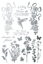 Load image into Gallery viewer, Papillon IOD Gilded Foil Transfer - Iron Orchid Designs