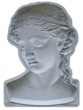 Load image into Gallery viewer, Pheresphone Mould by IOD - Iron Orchid Designs