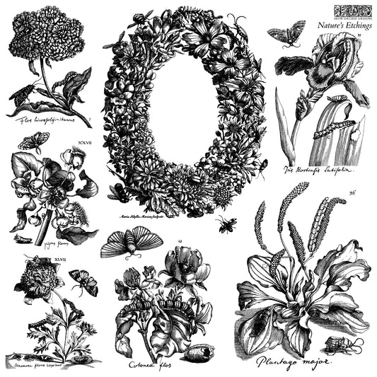 Nature's Etchings IOD Stamps - Iron Orchid Designs