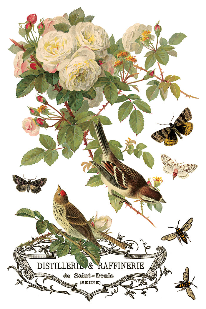 By Any Other Name IOD Transfer - Iron Orchid Designs