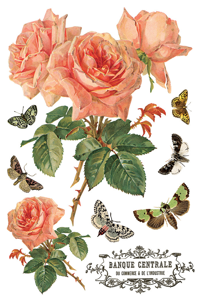 By Any Other Name IOD Transfer - Iron Orchid Designs