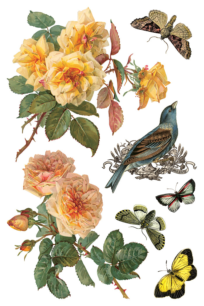 By Any Other Name IOD Transfer - Iron Orchid Designs