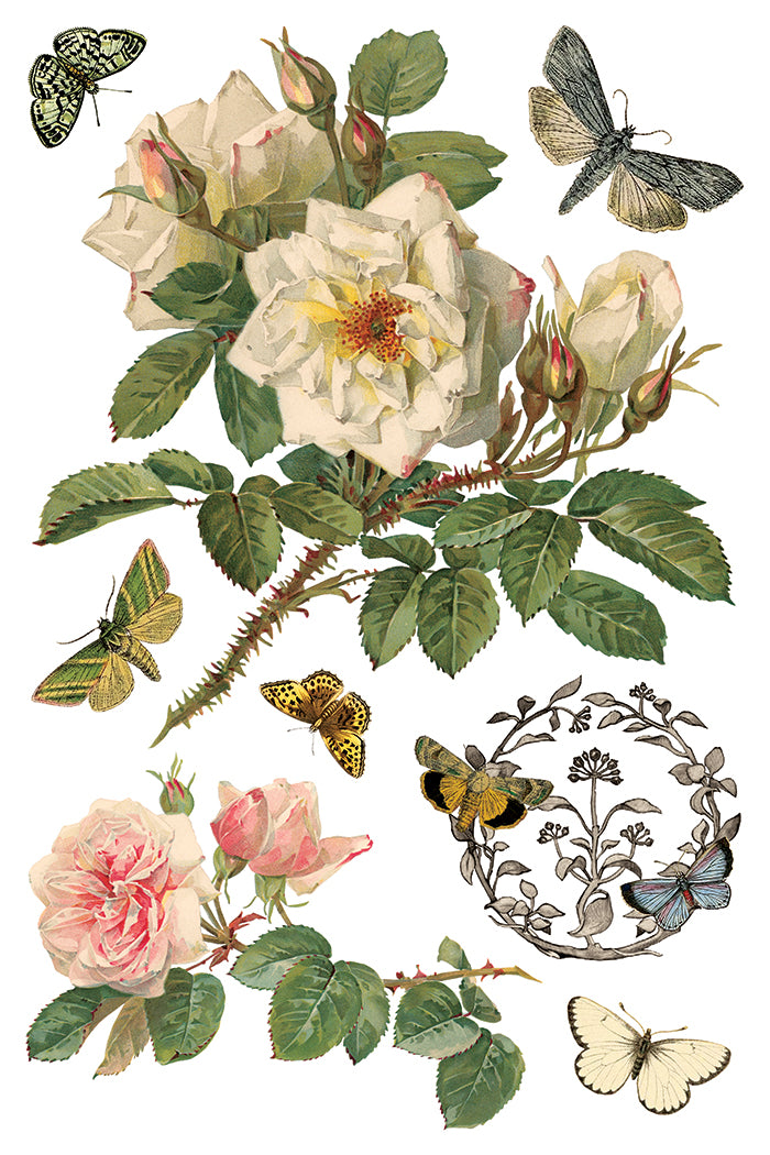 By Any Other Name IOD Transfer - Iron Orchid Designs