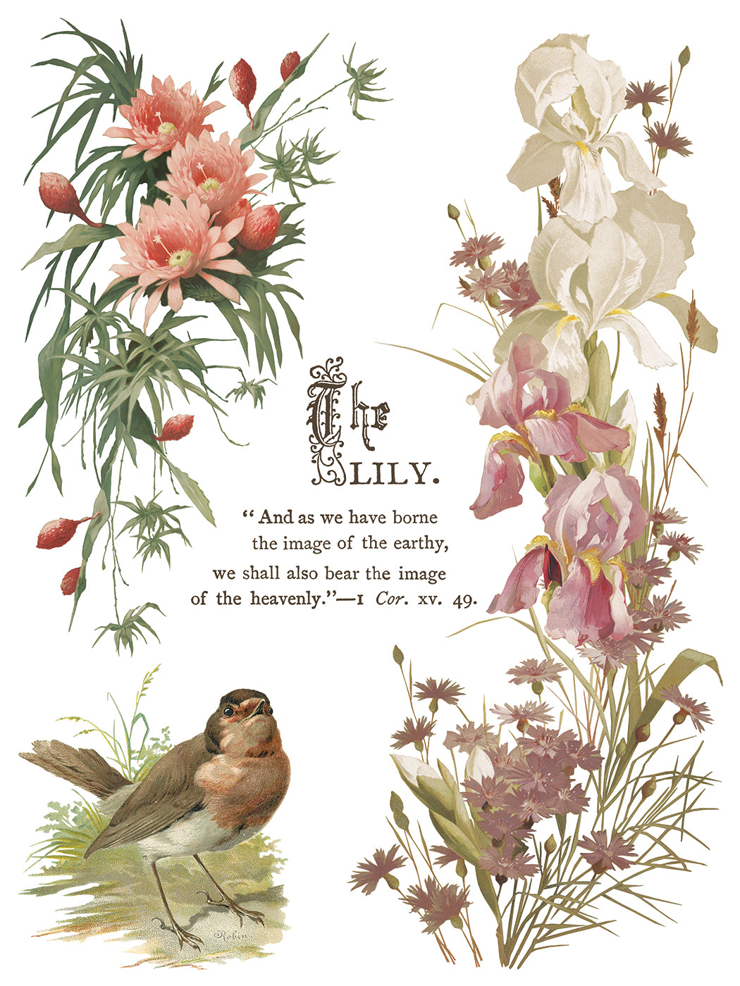 Flowers By The Poets IOD Transfer - Iron Orchid Designs