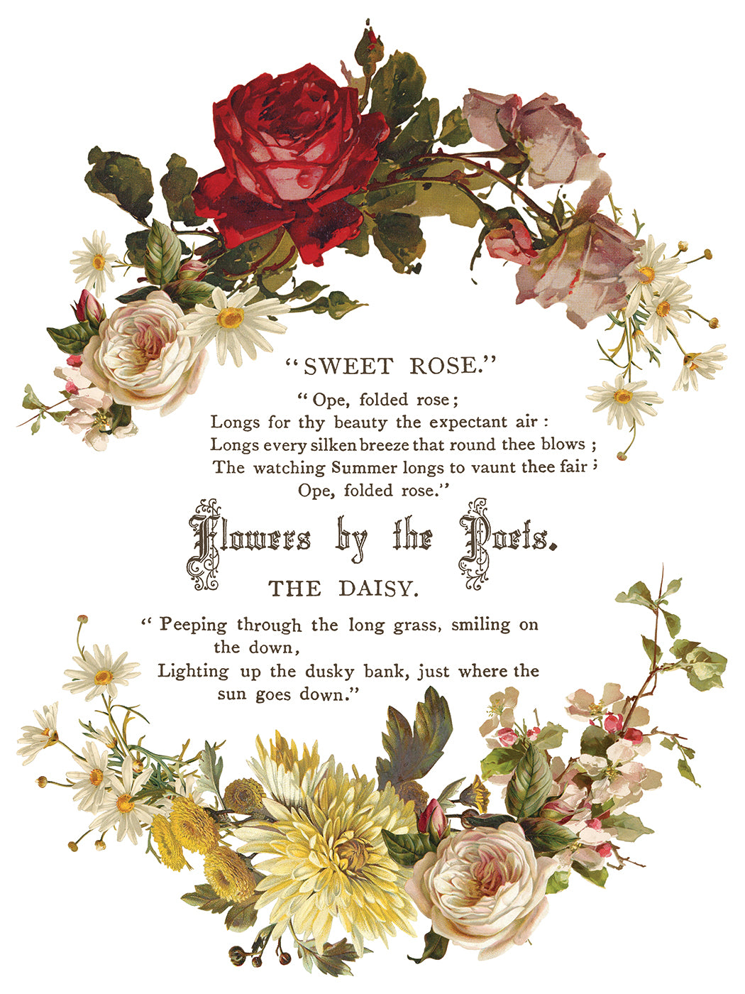 Flowers By The Poets IOD Transfer - Iron Orchid Designs