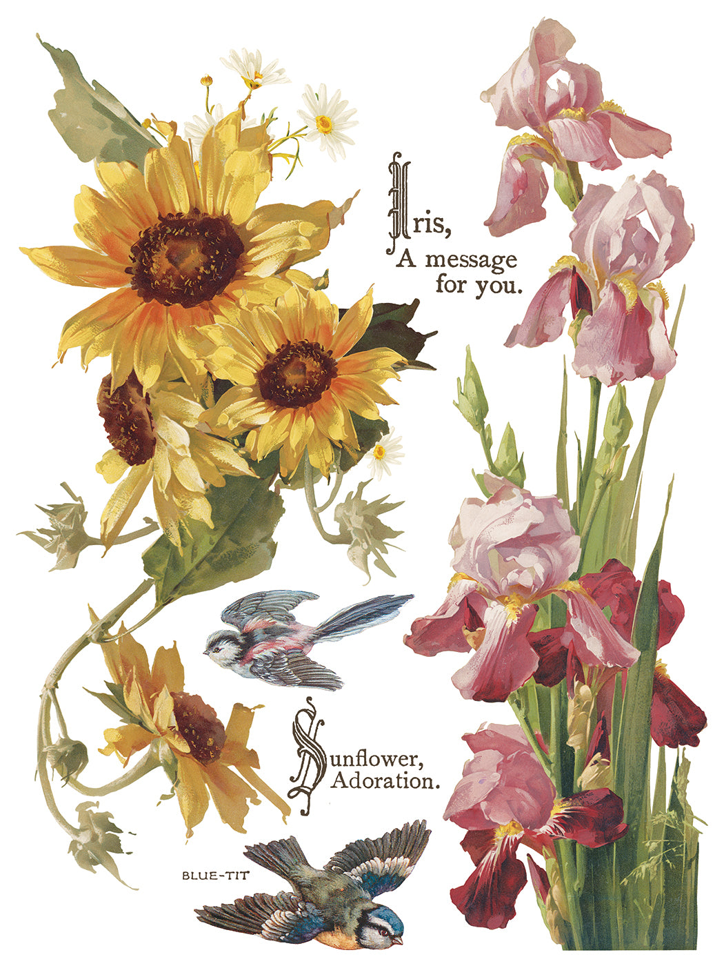 Flowers By The Poets IOD Transfer - Iron Orchid Designs