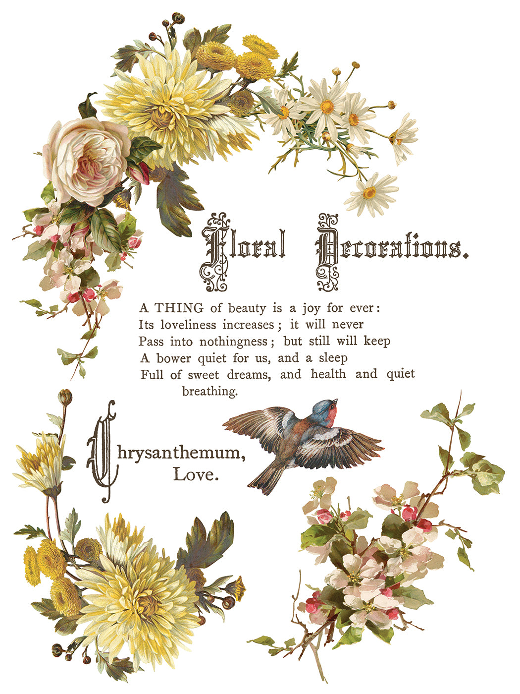 Flowers By The Poets IOD Transfer - Iron Orchid Designs