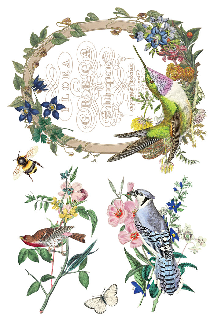 Flora Greca IOD Transfer - Iron Orchid Designs