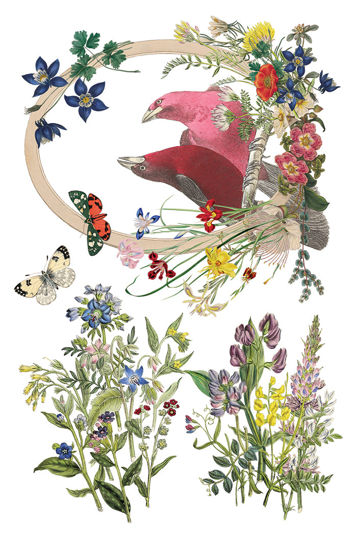 Flora Greca IOD Transfer - Iron Orchid Designs