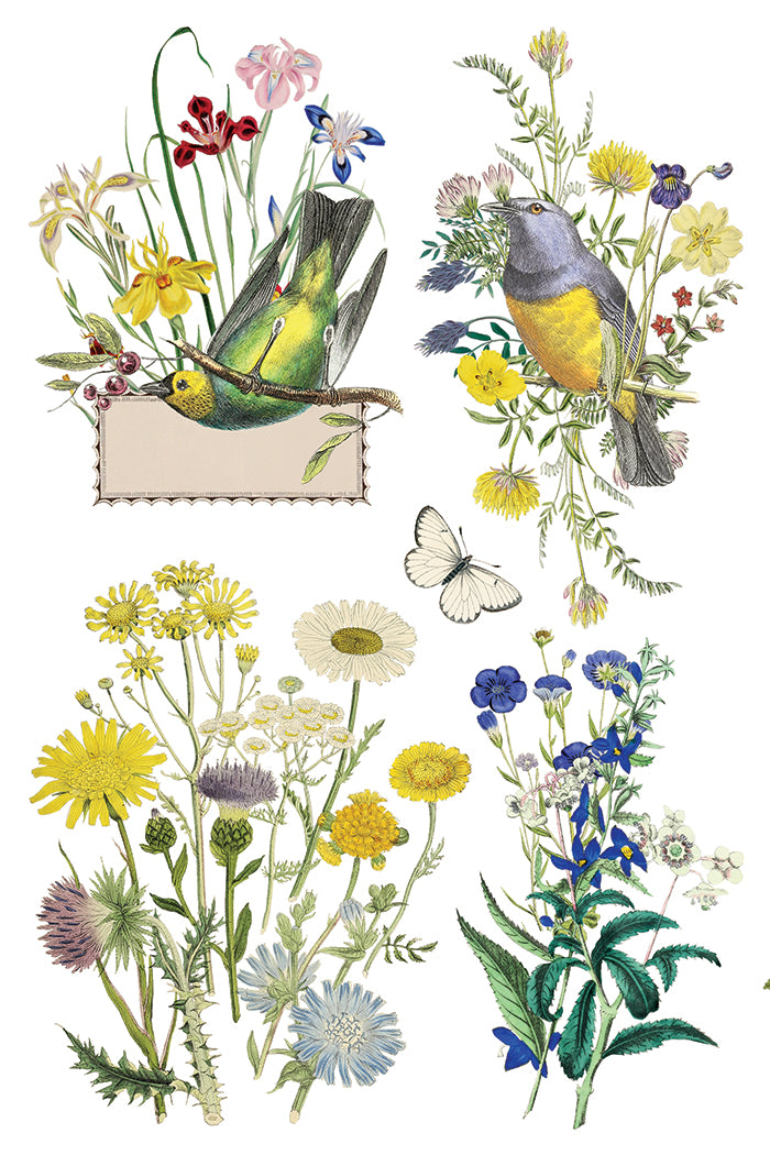 Flora Greca IOD Transfer - Iron Orchid Designs