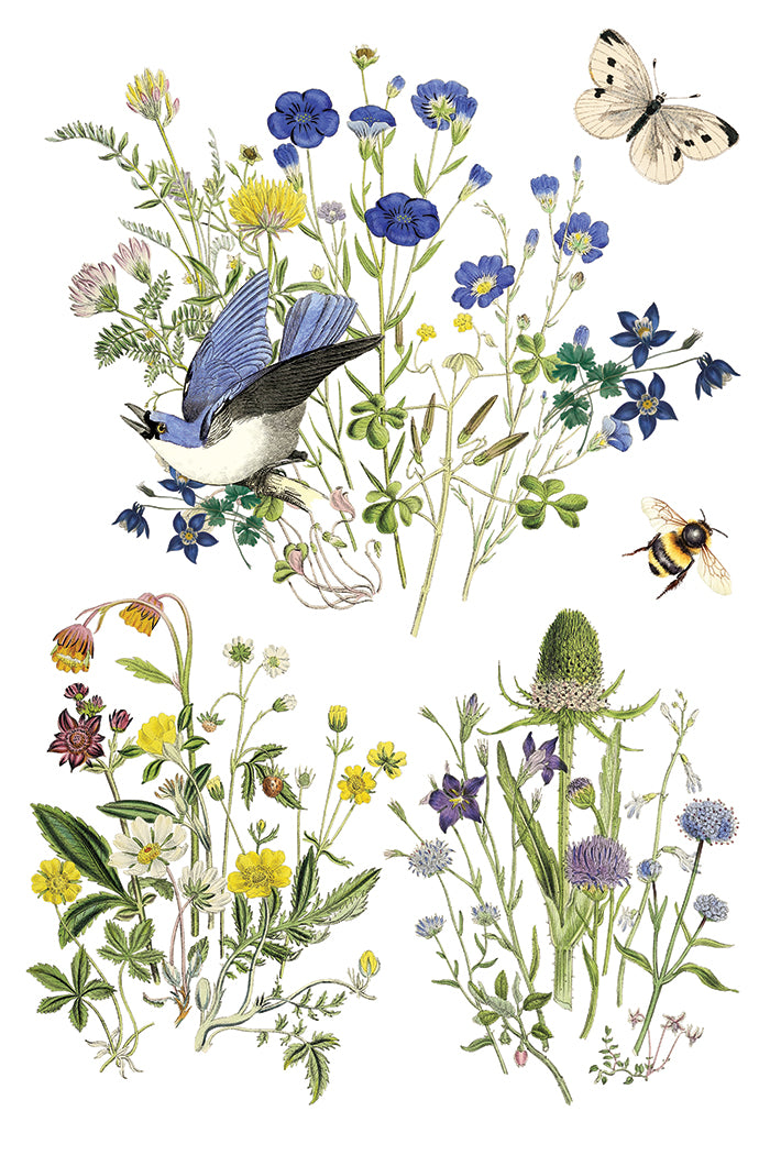 Flora Greca IOD Transfer - Iron Orchid Designs