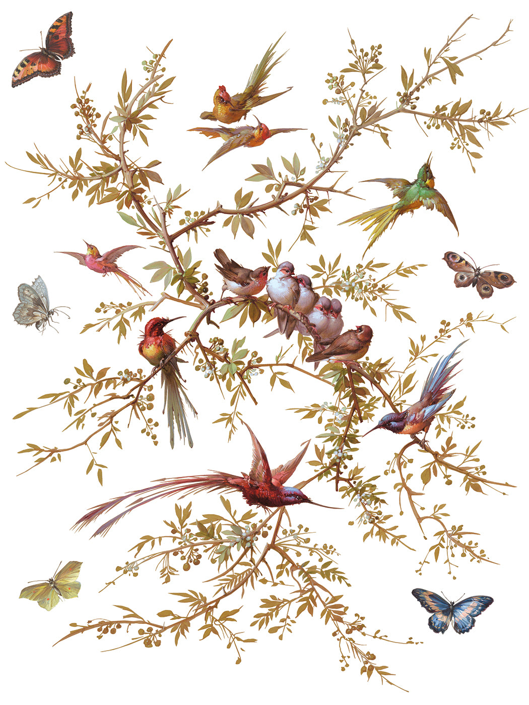 Madeleine IOD Transfer - Iron Orchid Designs