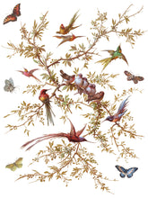 Load image into Gallery viewer, Madeleine IOD Transfer - Iron Orchid Designs