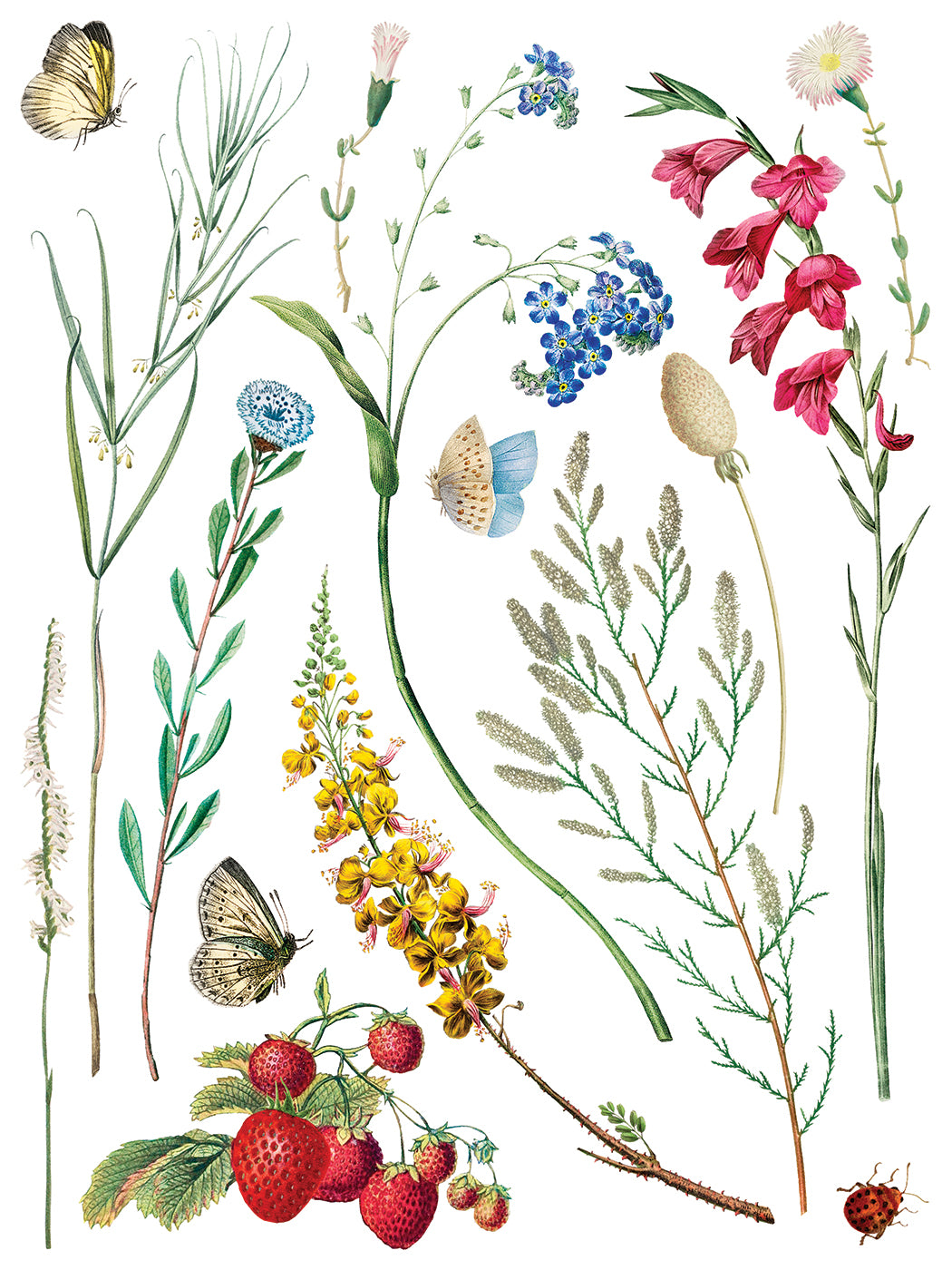 Marche Des Fleurs IOD Transfer - Iron Orchid Designs
