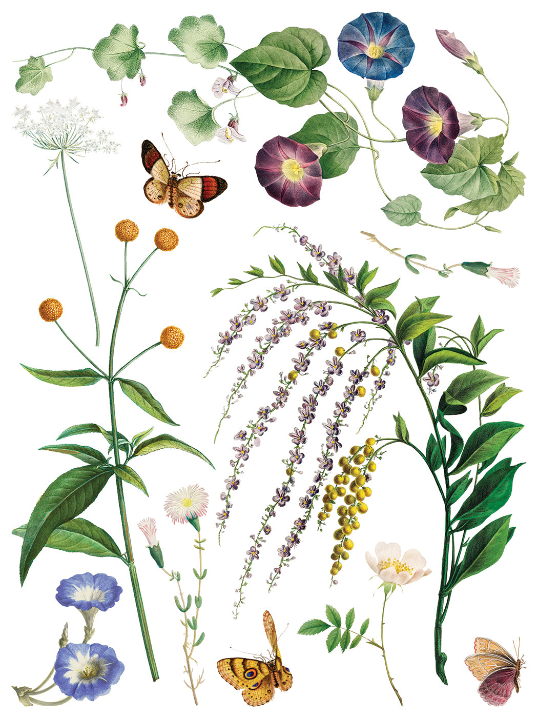 Marche Des Fleurs IOD Transfer - Iron Orchid Designs